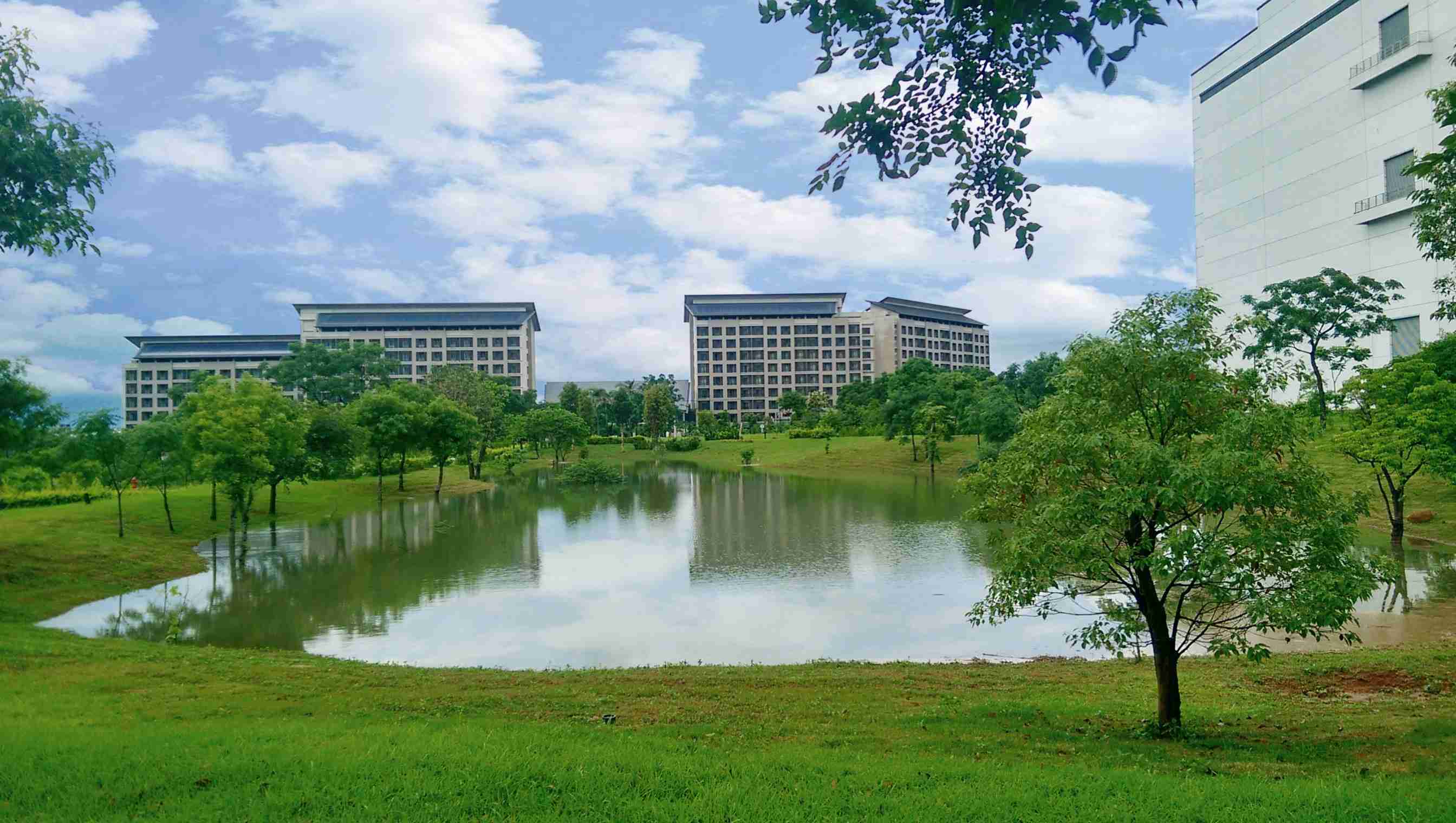 龙门国际响应国际倡议生物多样性趋势，，，，首次发布TNFD自然相关财务揭露报告书，，，擘划及开展龙门国际生物多样性政策之承诺，，，，逐步迈向与自然和谐共生